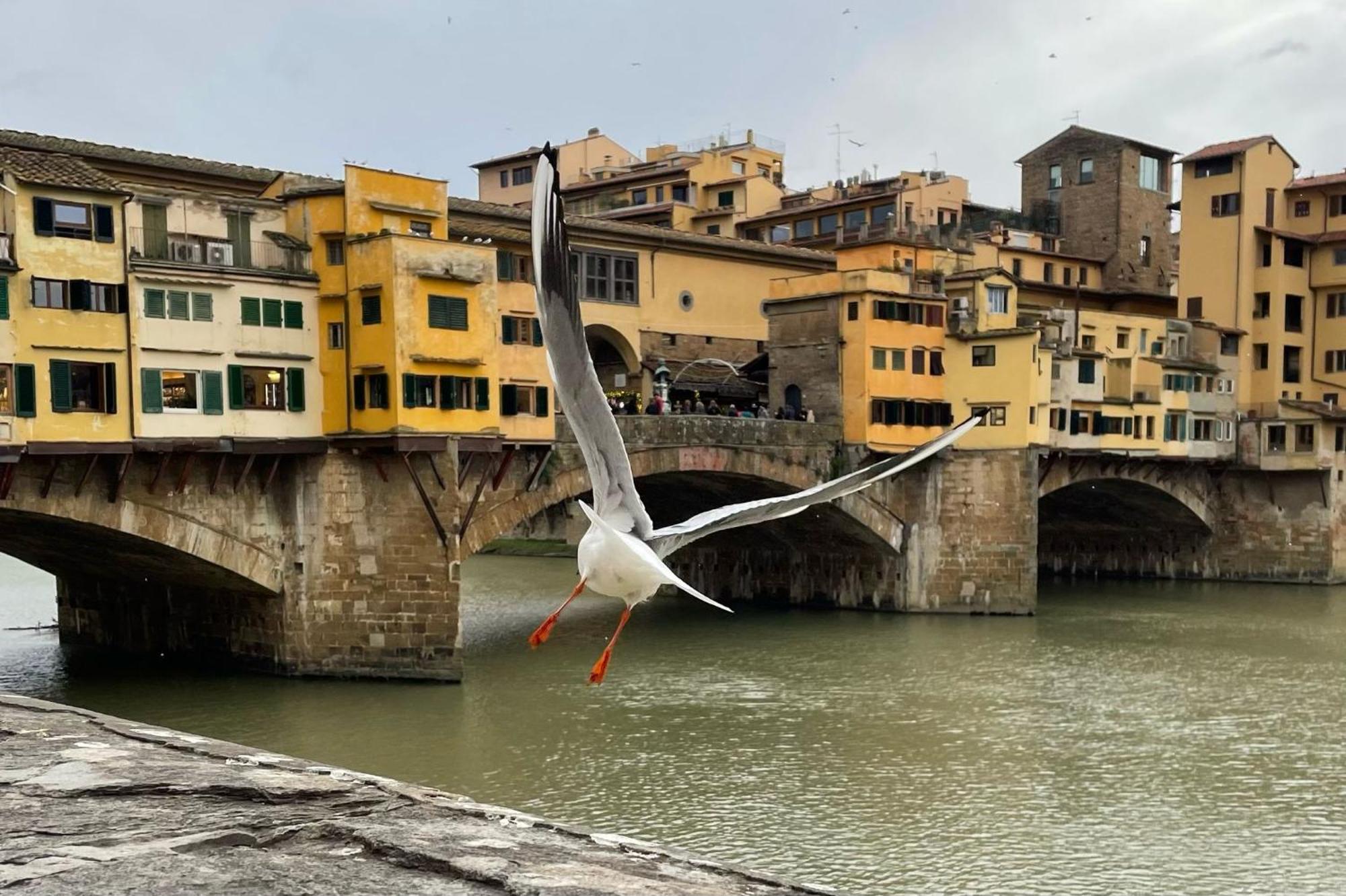 Vintage Apartments In The Heart Of Florencia Exterior foto
